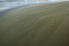 Sand