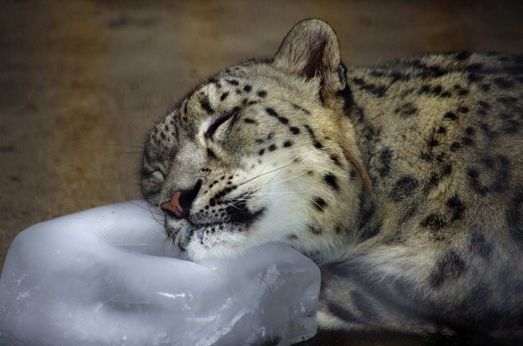 氷