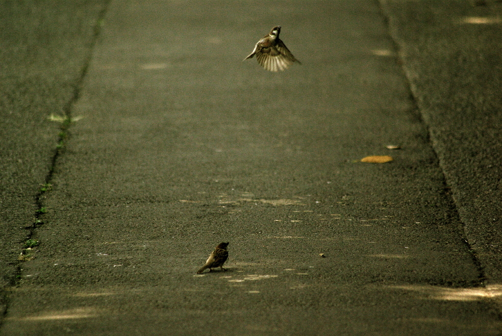Leaving