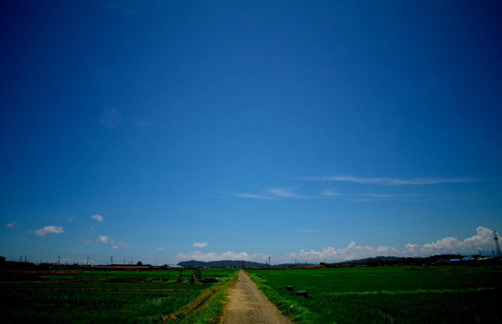 夏へと続く道