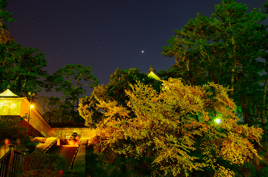 小田原の夜