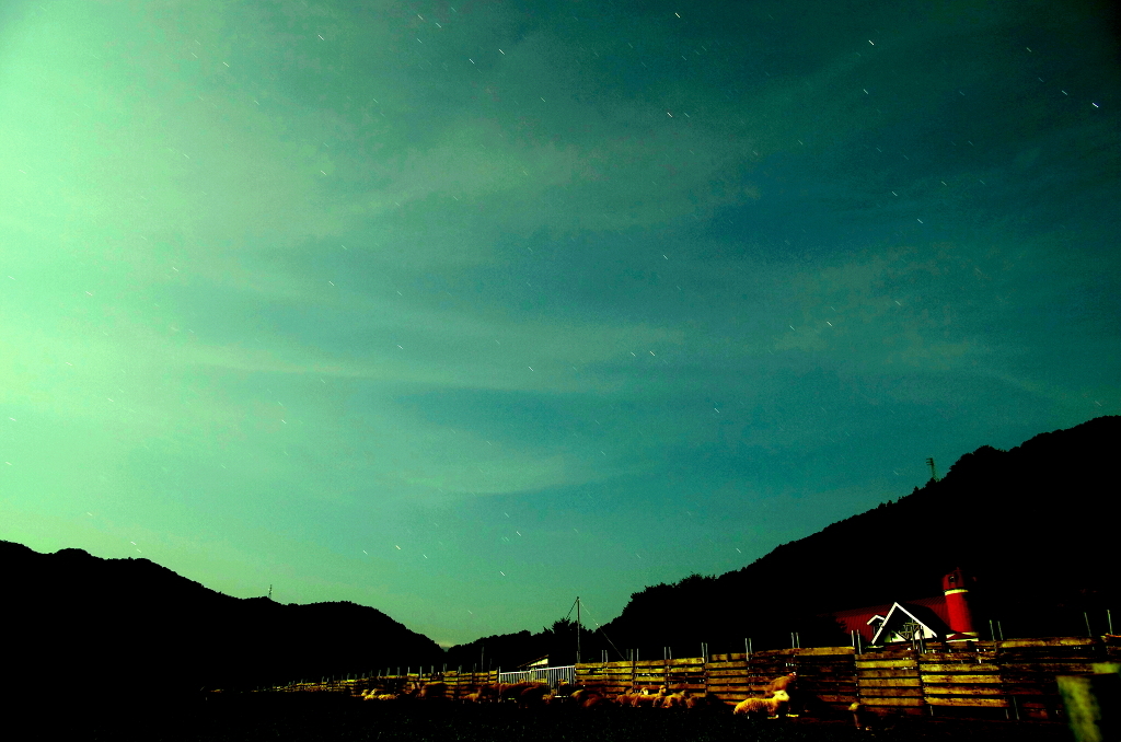 夏の夜空〜緑〜