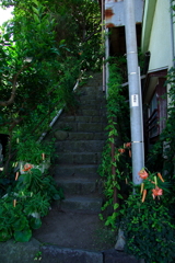 石段