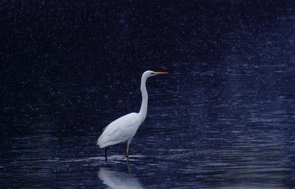 早春雪