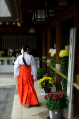 朱