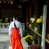 朱