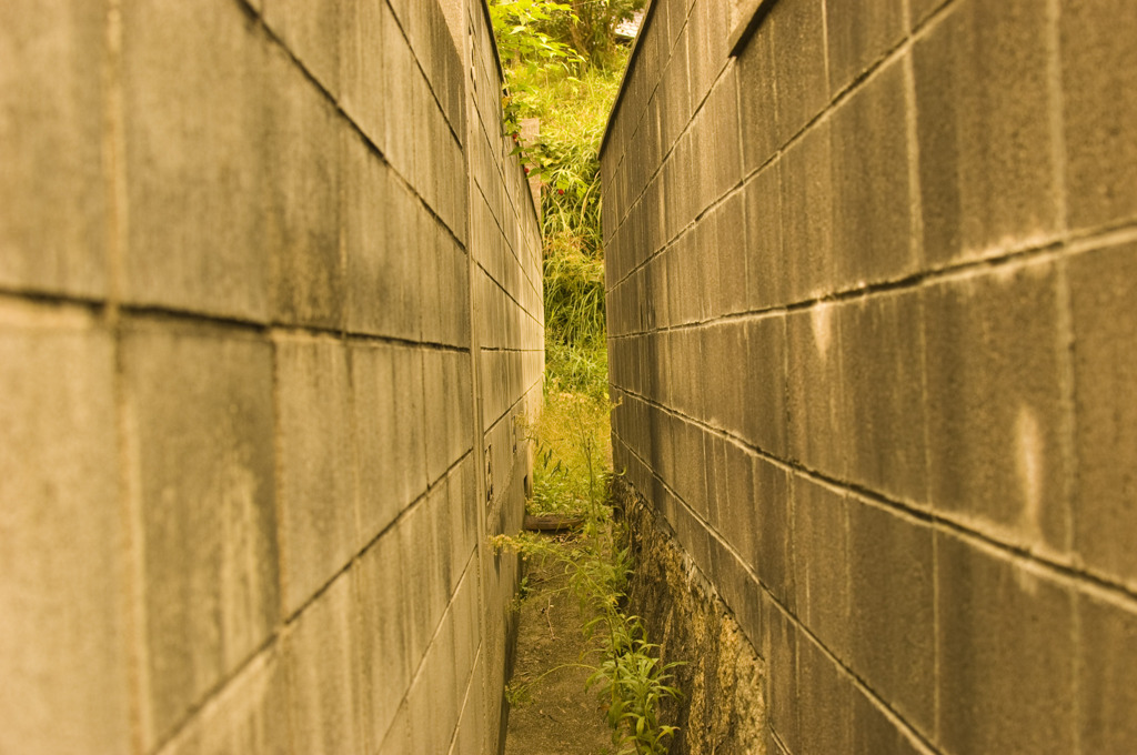 秘密の抜け道