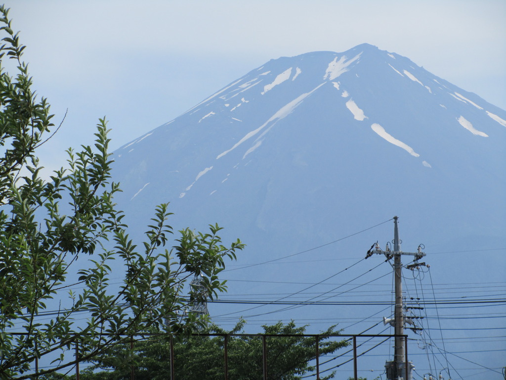 ふじよりたかいきに