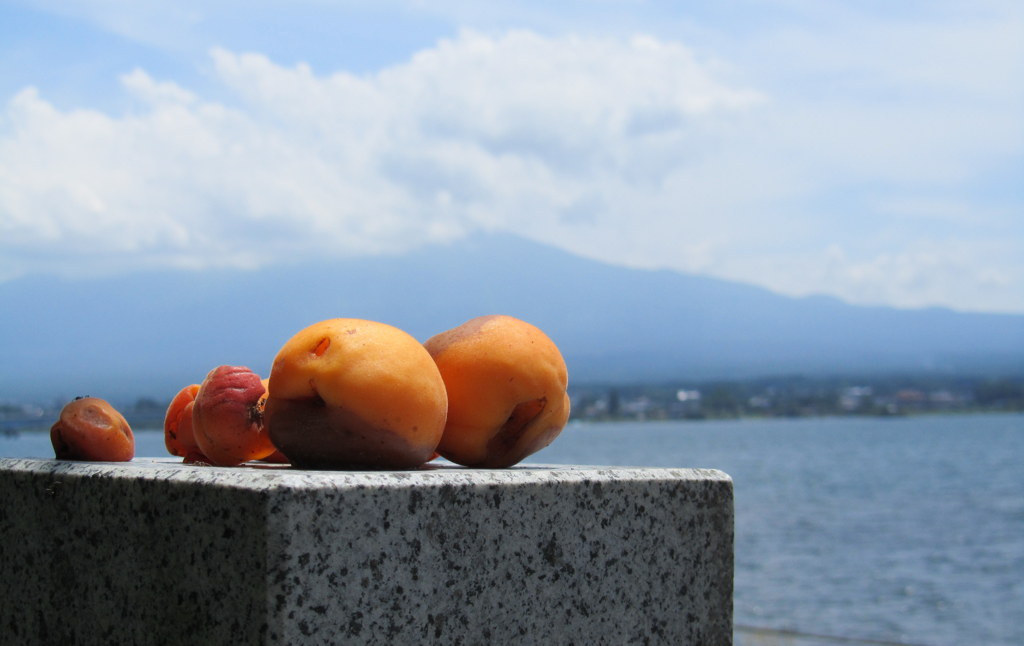 あんず一家の河口湖旅行
