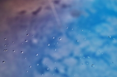 after the rain
