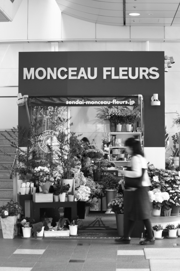 『flower shop』
