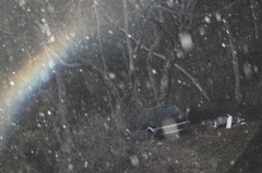 Disused car