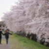 手をつないで。