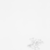 『Tree』