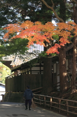 掃除お疲れ様です。