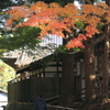 掃除お疲れ様です。