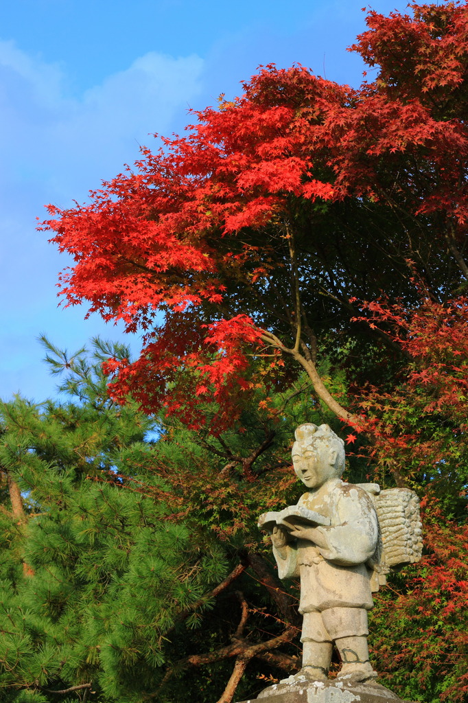 金次郎さんと紅葉