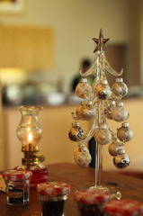 Ｓｉｌｖｅｒ　Ｔｒｅｅ