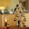 Ｓｉｌｖｅｒ　Ｔｒｅｅ