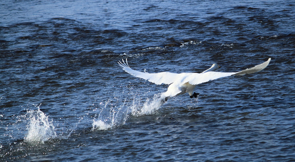 take off
