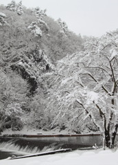 雪景色