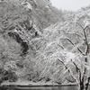 雪景色
