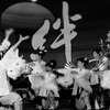 『若柳　よさこい桜』