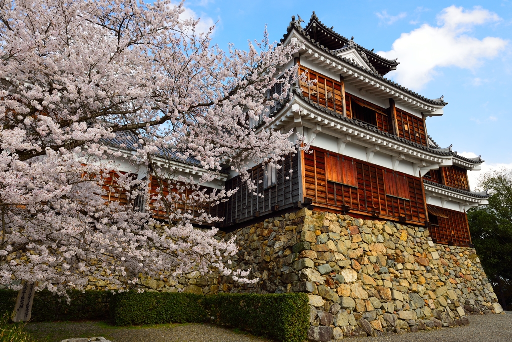 京都　福知山城