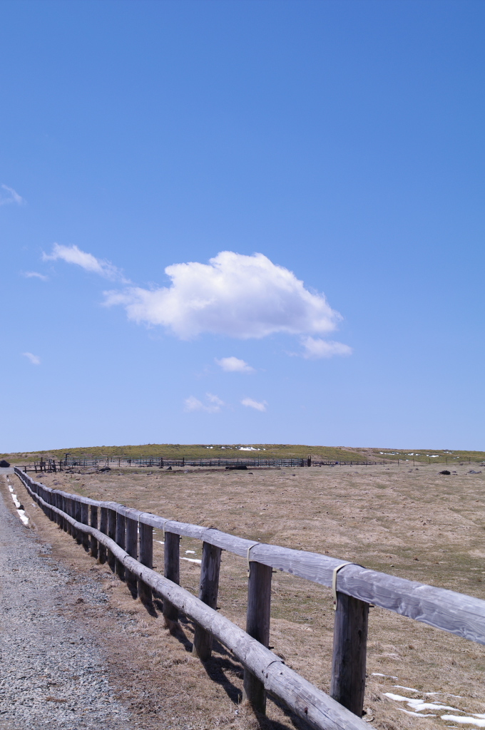 青空侍