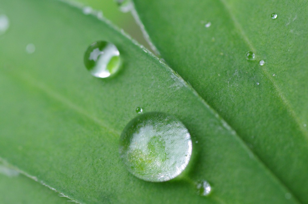 水滴4