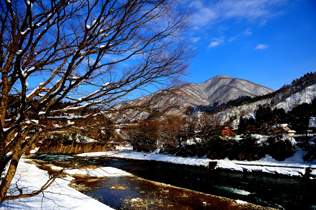 白川のいりぐち