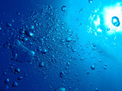 Ishigaki_u039