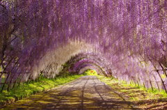 フジトンネル