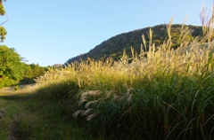 20121019_IMGP009_DA17-70_R