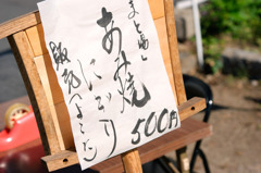 DSC04737