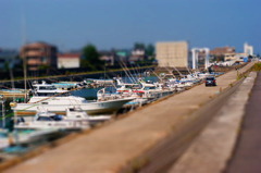 DSC04418