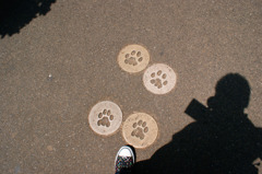 上野動物園