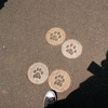 上野動物園