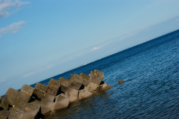 白子の海