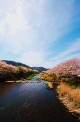 川、花道