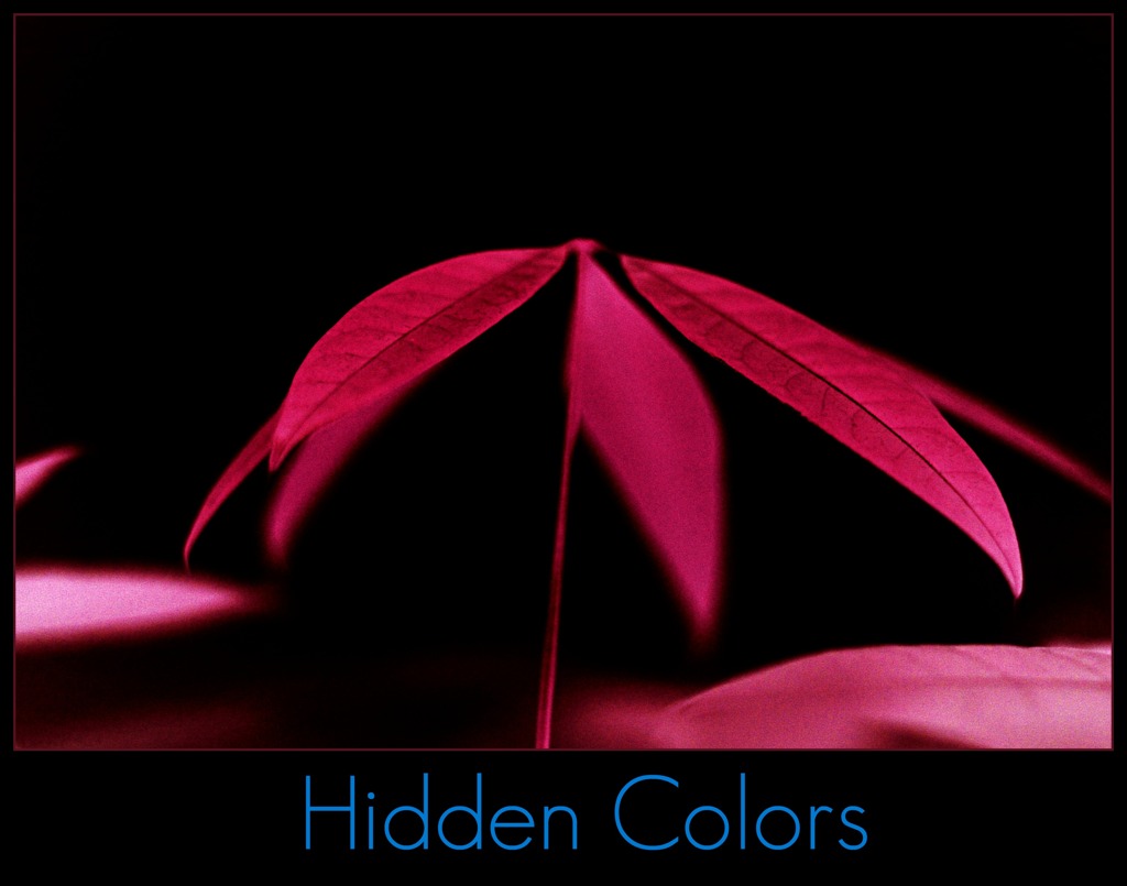 Hidden Colors