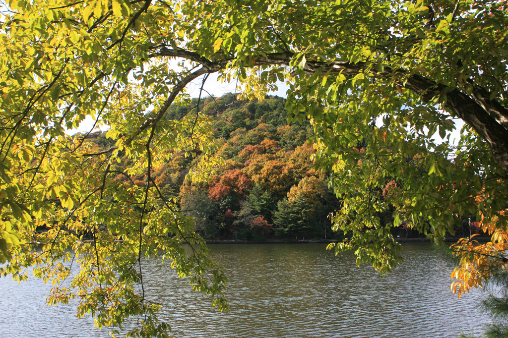 宝ヶ池公園