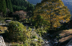本日の里山