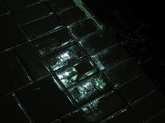 水たまり