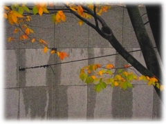 遊び１