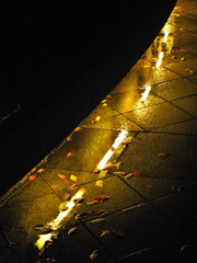 雨　落　葉