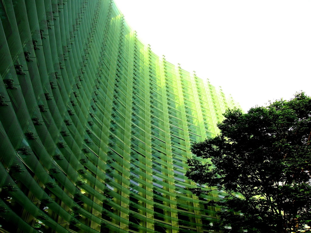 国立新美術館
