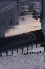 夕川