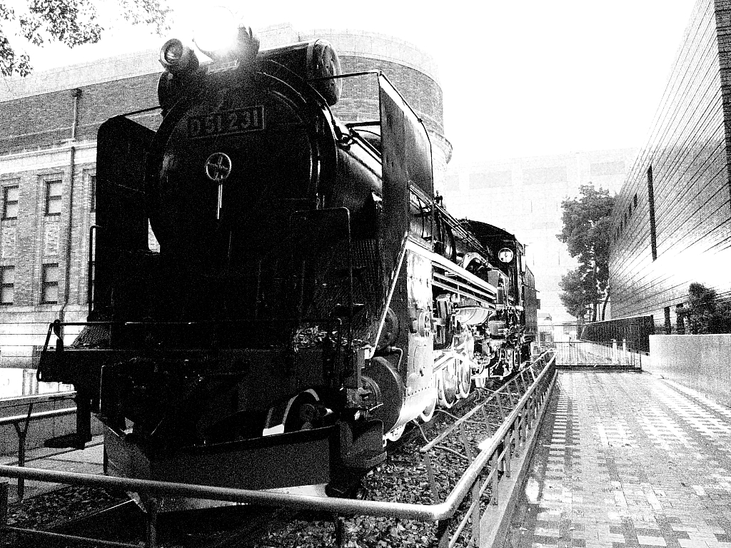 d51