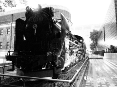 d51